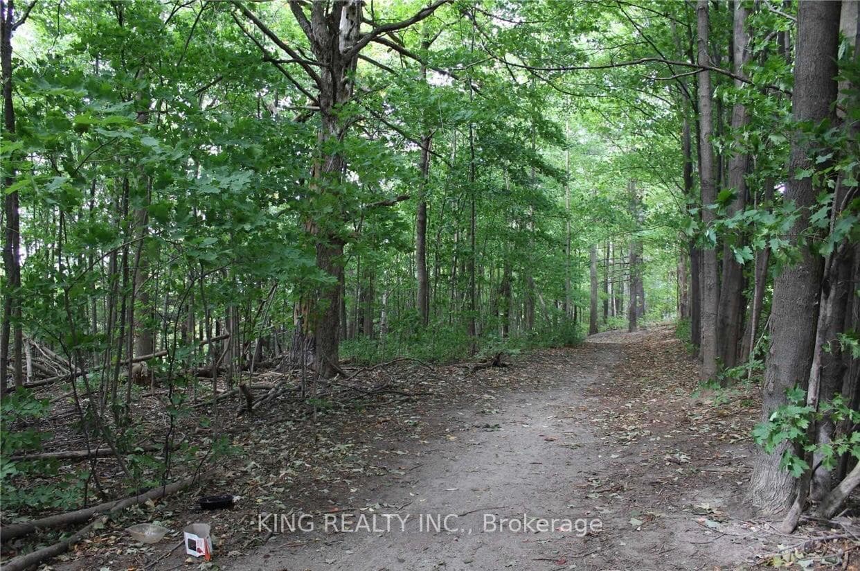 369 Essa Road Unit 83 photo 15