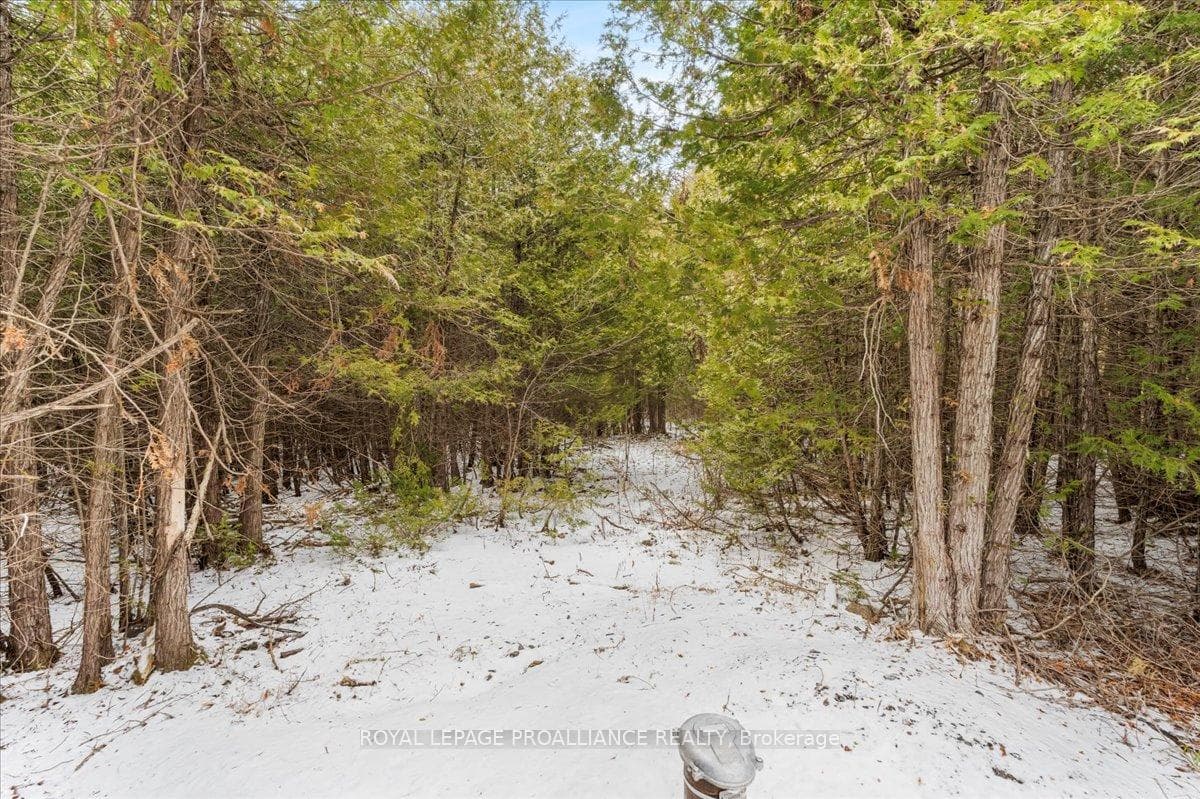 781 Carson Road photo 9