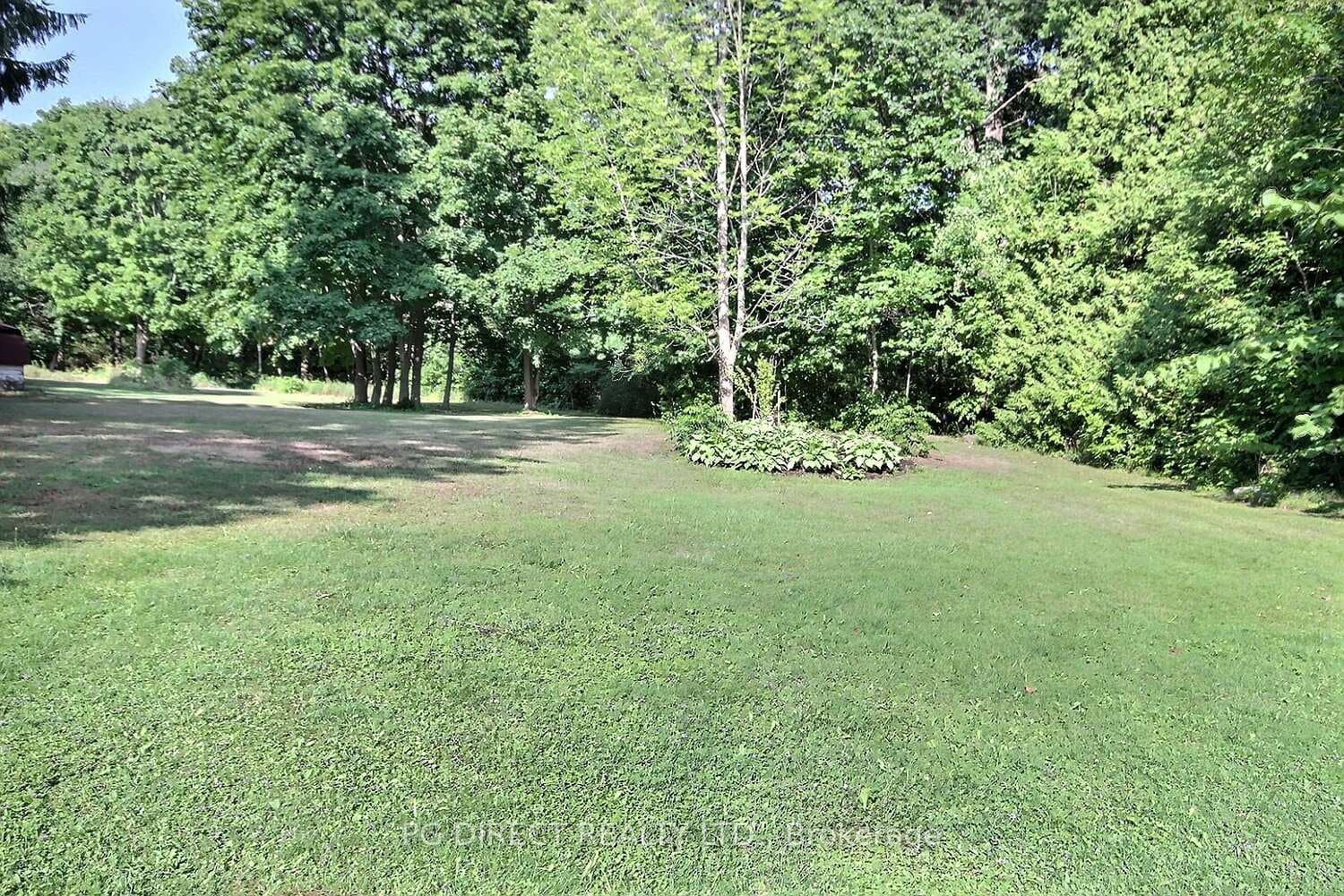 283 Drewery Street photo 4