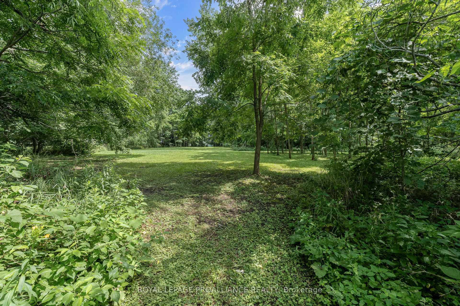 PT LOT3 Cressy Bayside Road photo 15