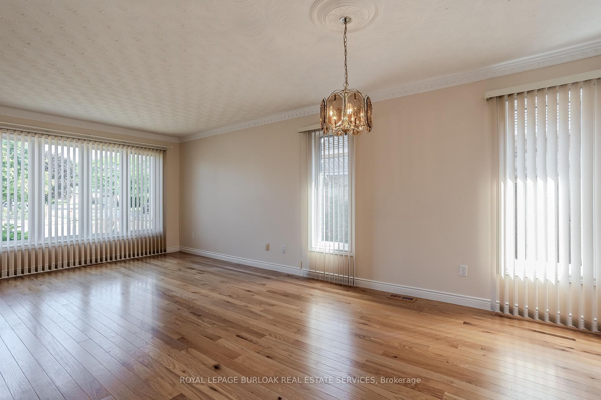 1154 Augustus Drive photo 13