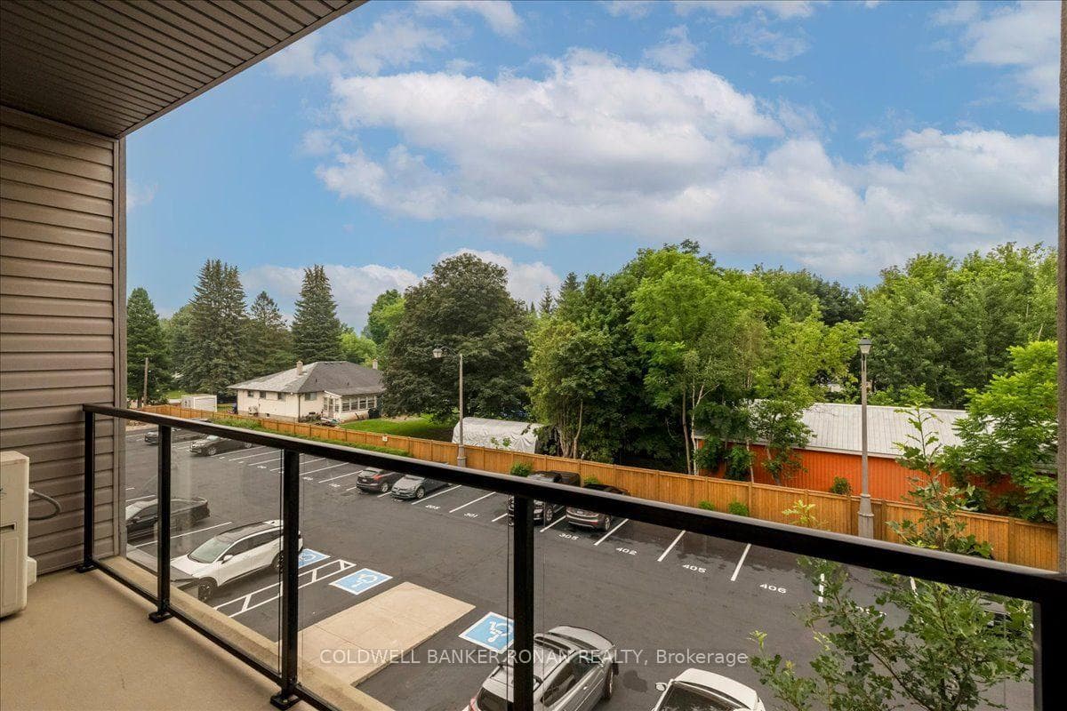 69 Boyne Street Unit 310 photo 11