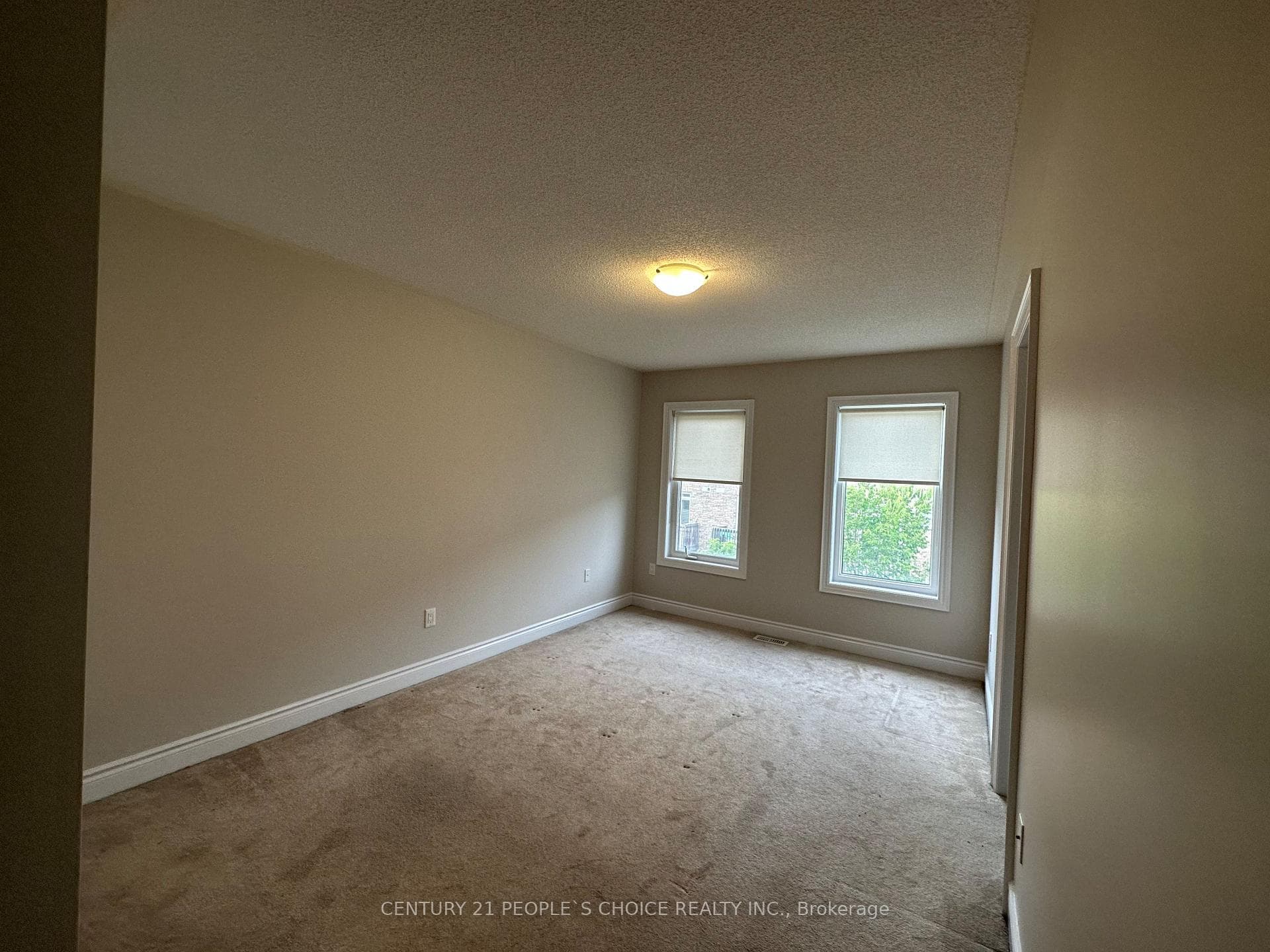 7227 Triumph Lane photo 10