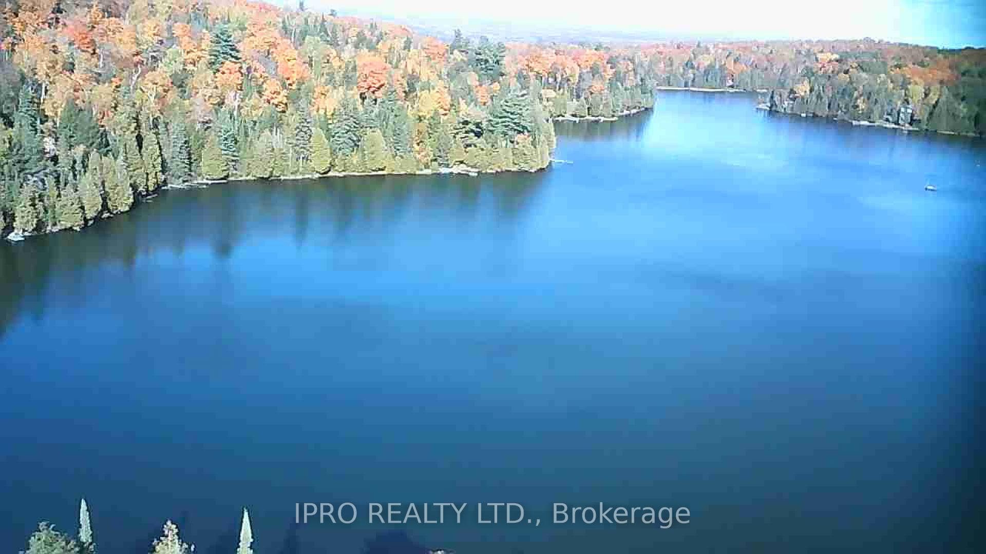 6491 Opeongo Road photo 37