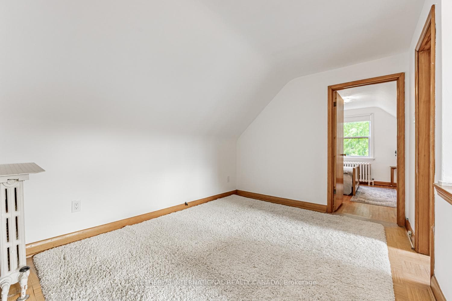 21 Tripp Crescent photo 12