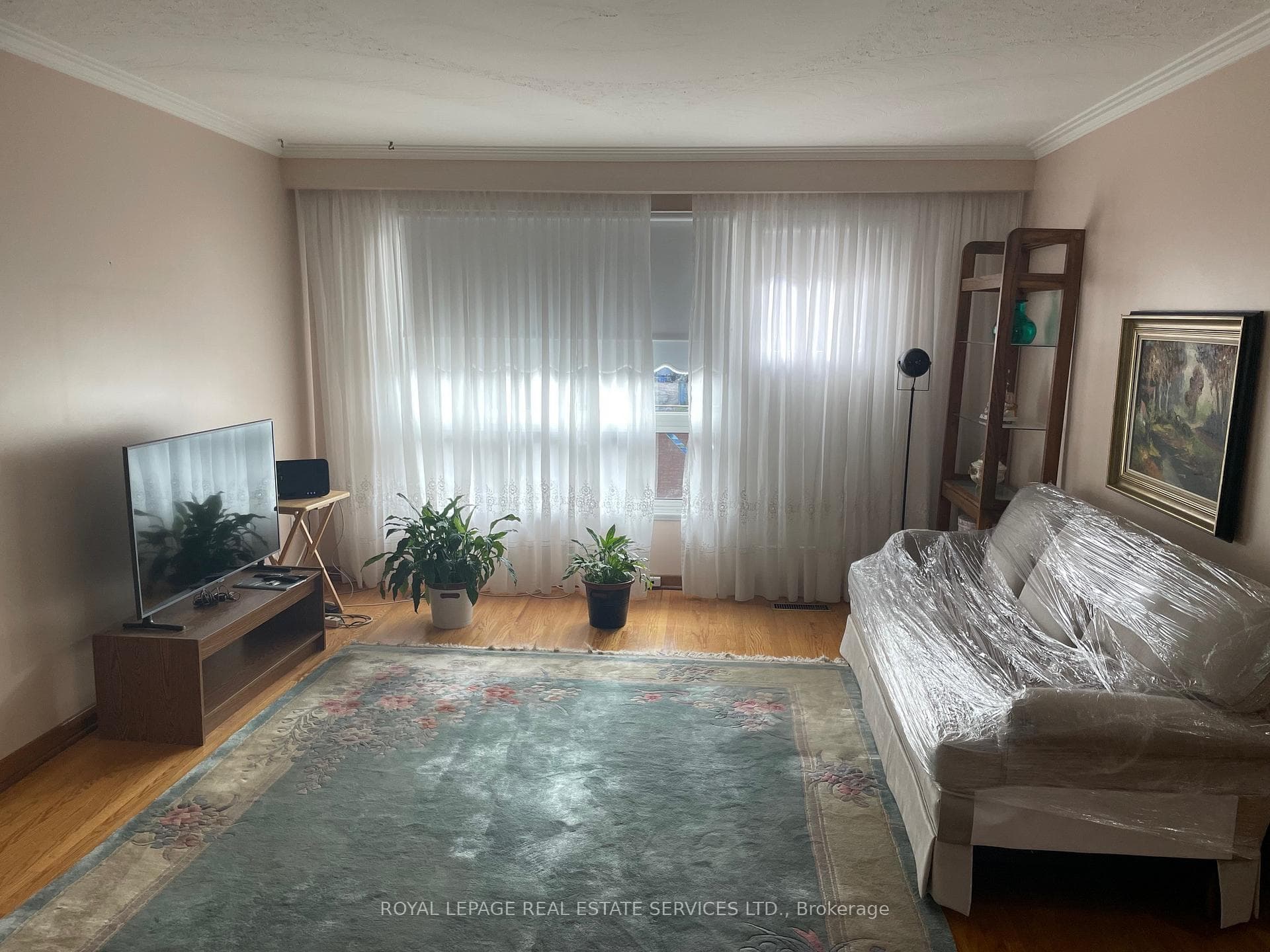 66 Evans Avenue photo 8
