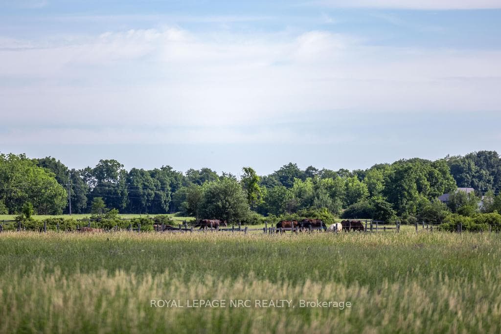 295 Sawmill Road photo 4