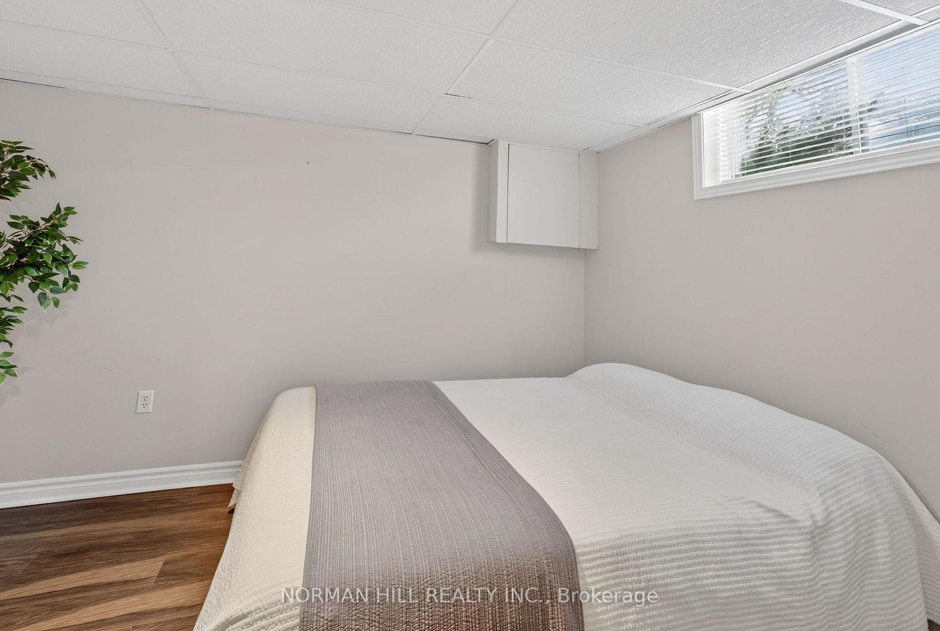 25 Buce Avenue photo 39