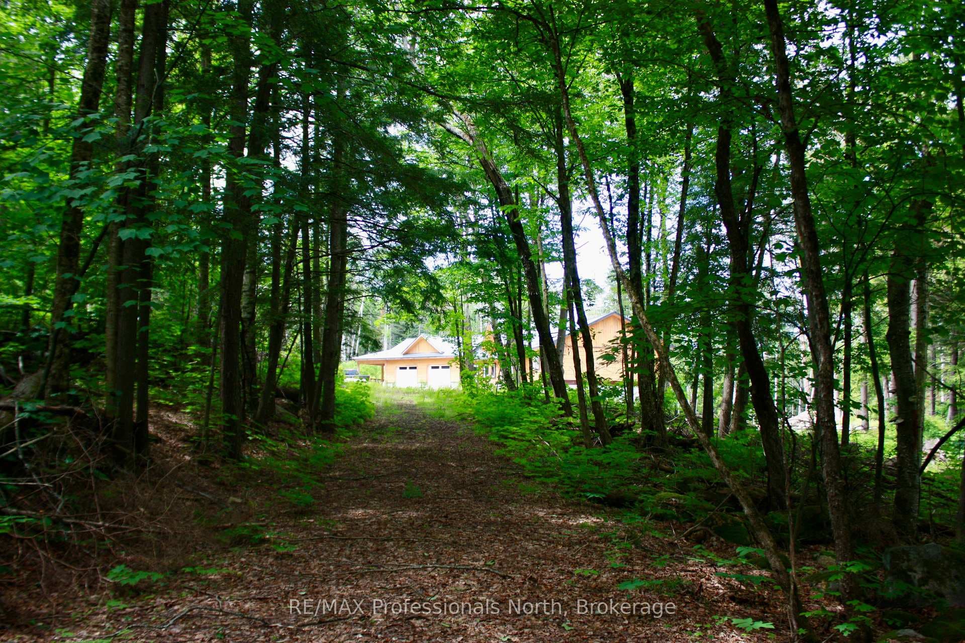 511 Brethour Road photo 40