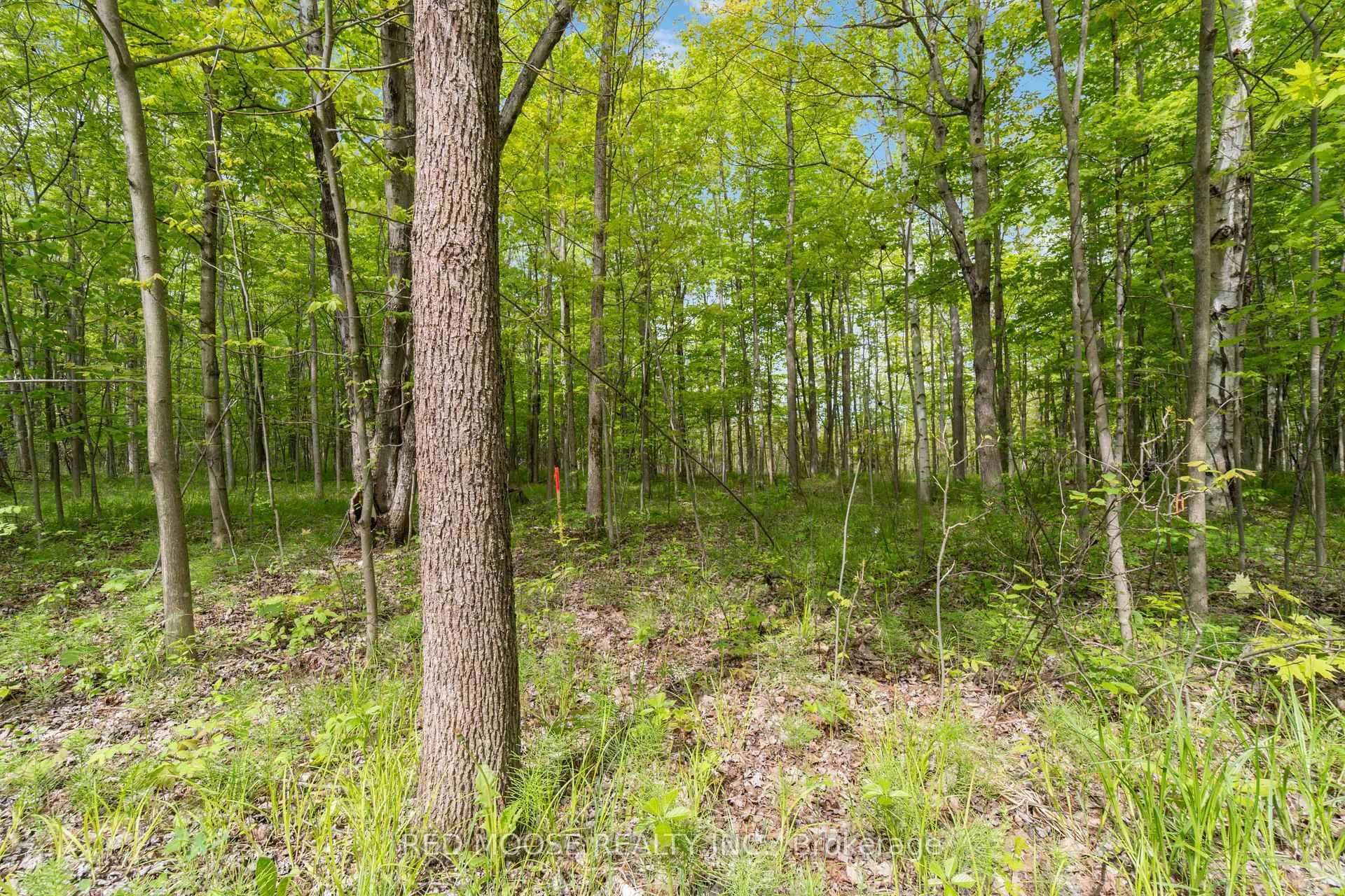 Part Lot 4 Concession 1 Road photo 7