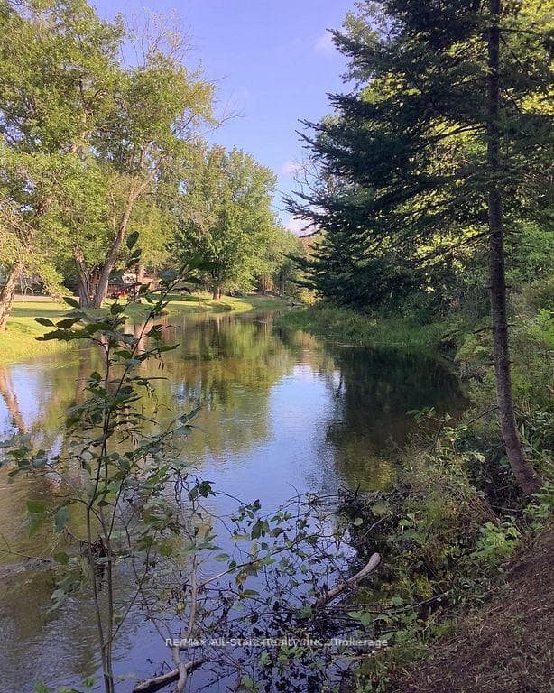 161 McFadden Road photo 21
