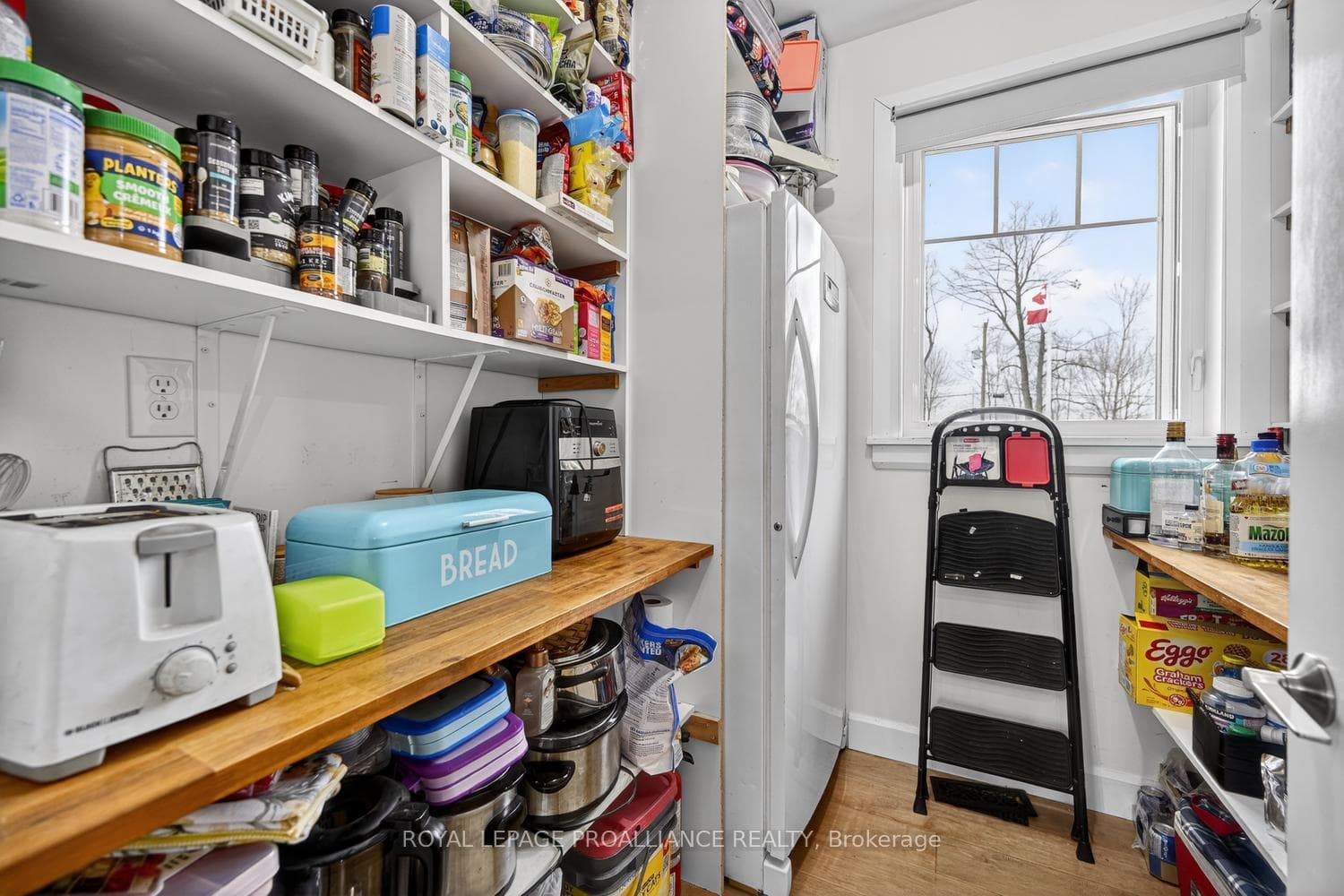 10932 Jellyby Road photo 19