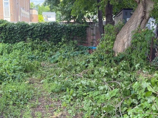 66 Lambton Avenue photo 12