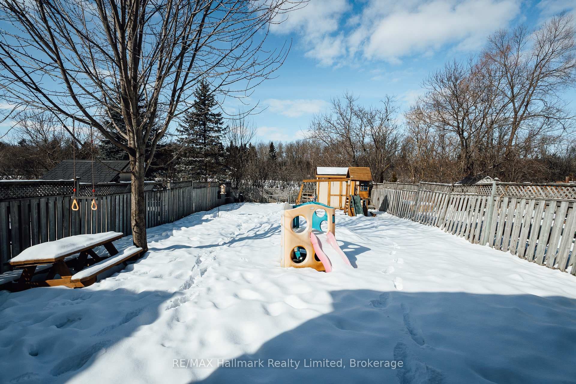 fully fenced yard + shed (2019)