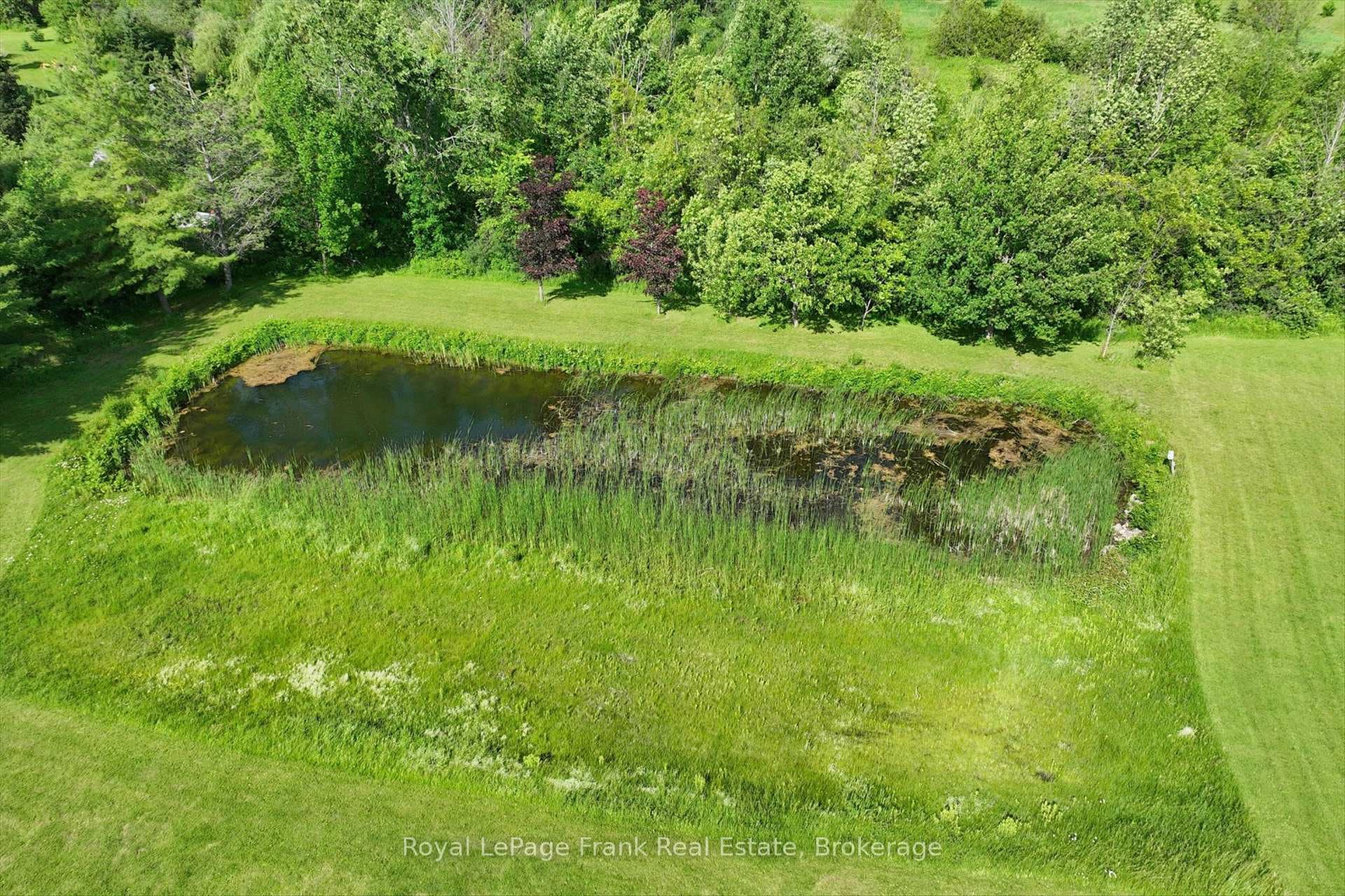 138 Emily Park Road photo 45