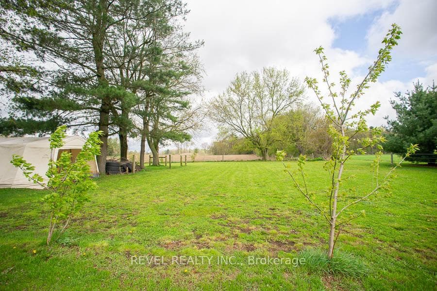 1039 St. John's Road photo 26