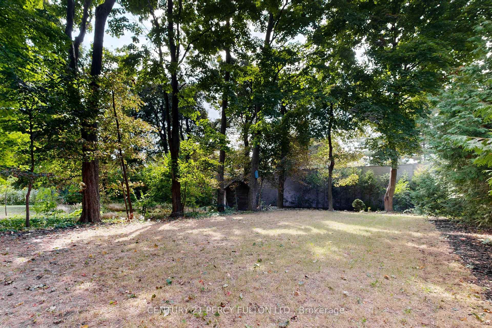 78 Agincourt Drive photo 39