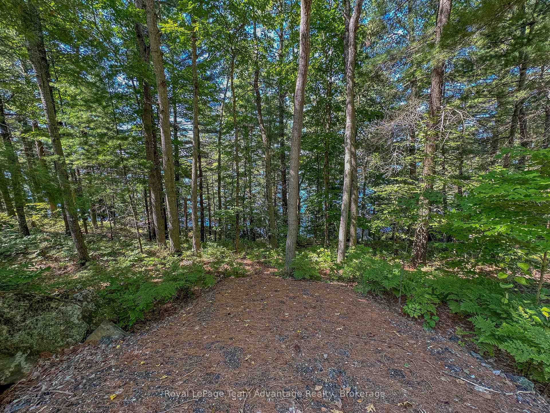 59 Mill Lake W/A N/A photo 26