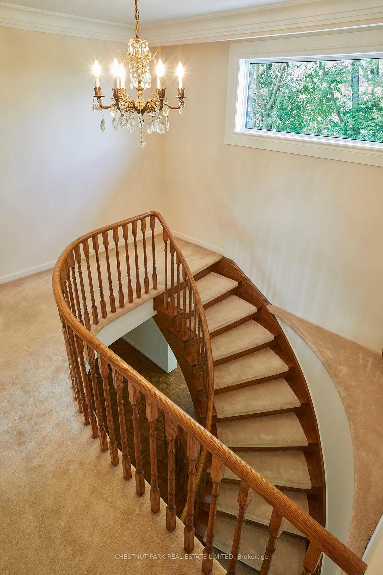 252 Otonabee Avenue photo 15