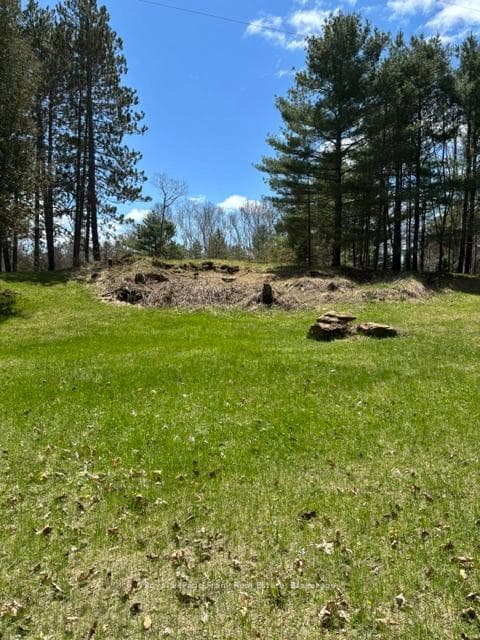 26686 Highway 62 N/A photo 3