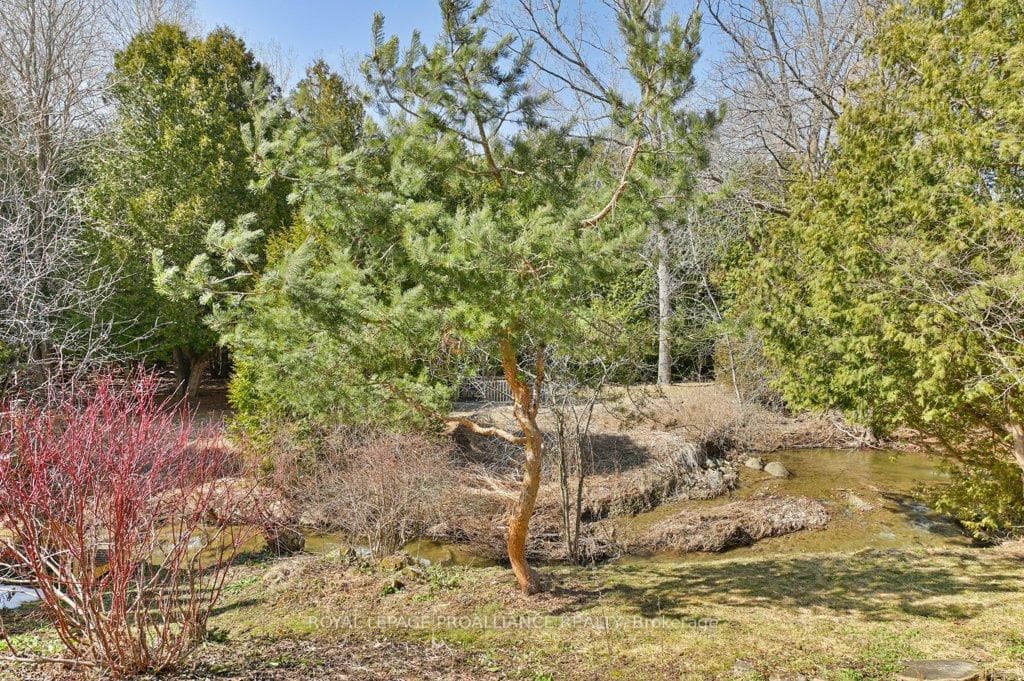 102 Sanford Street photo 39