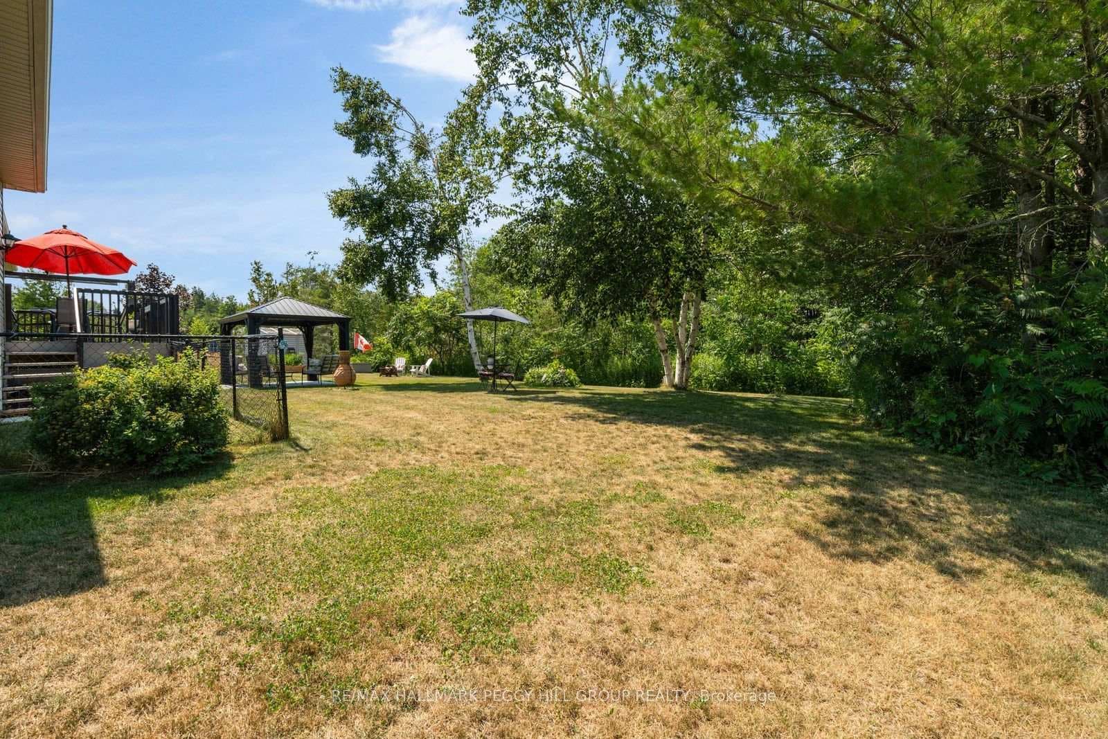 22 Bachly Avenue photo 16