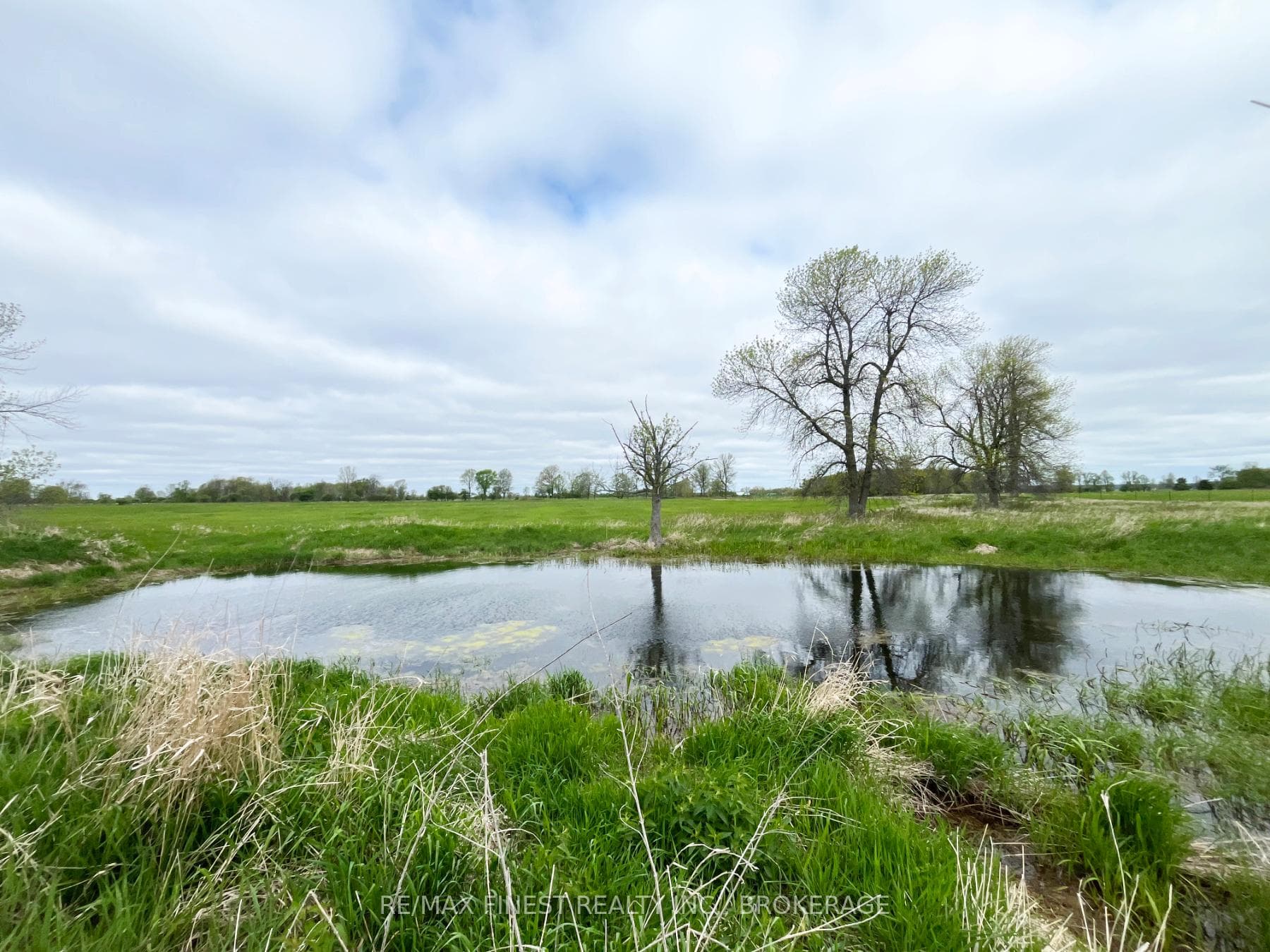 Pond near the north east corner of the lot