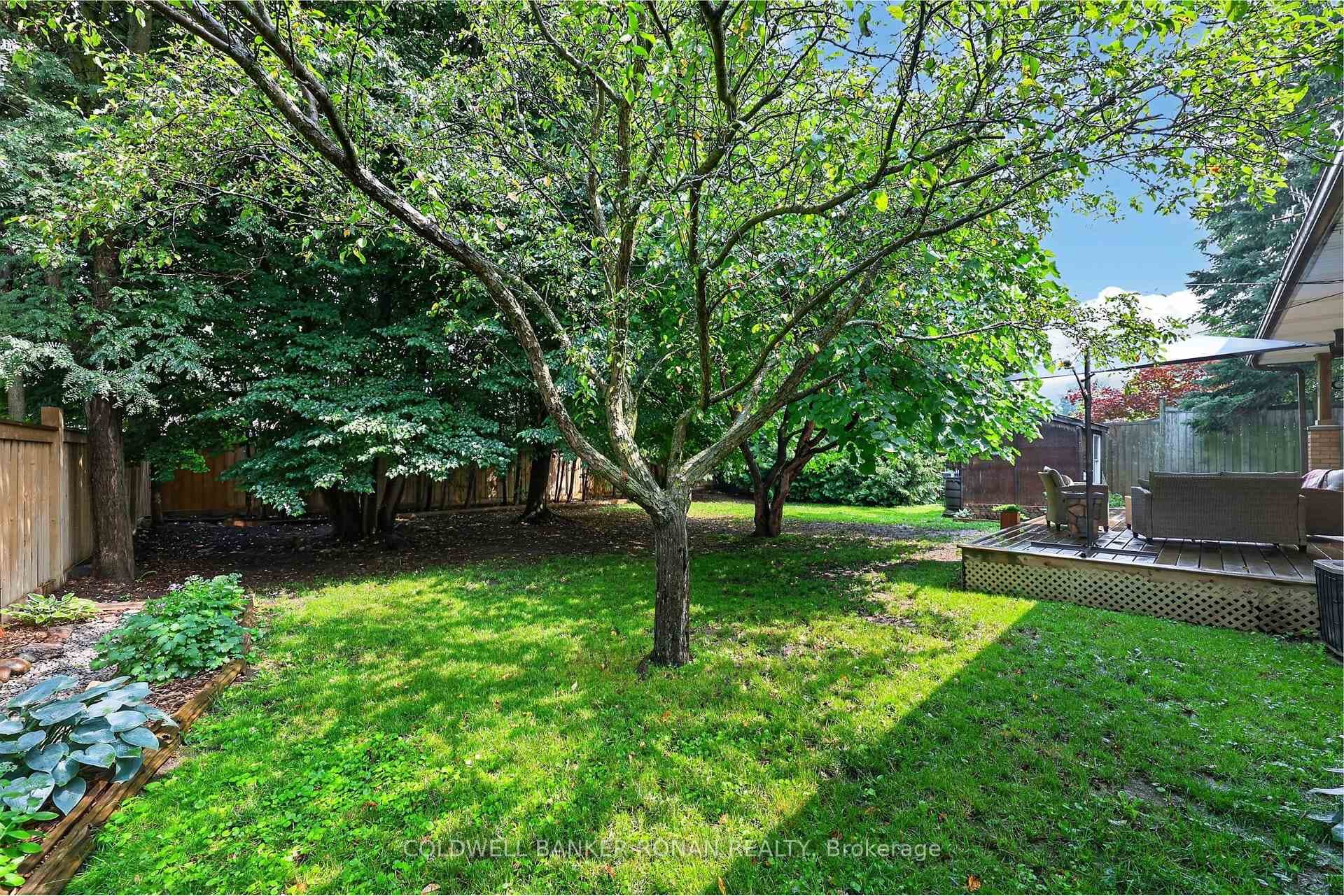 4 Richmond Street photo 31