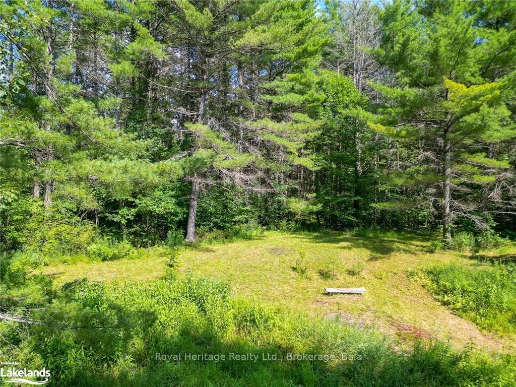 1186 SAM COOK Road photo 23