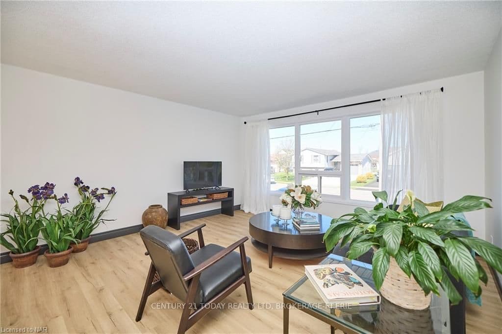 354 ALBANY Street photo 14