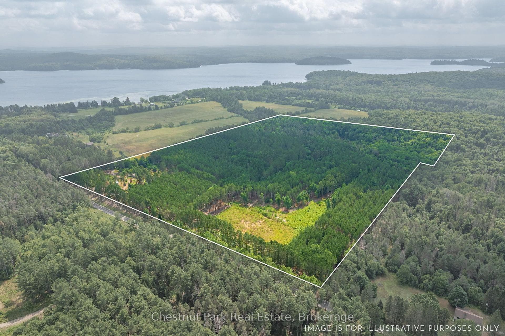 165 James Camp Road photo 2