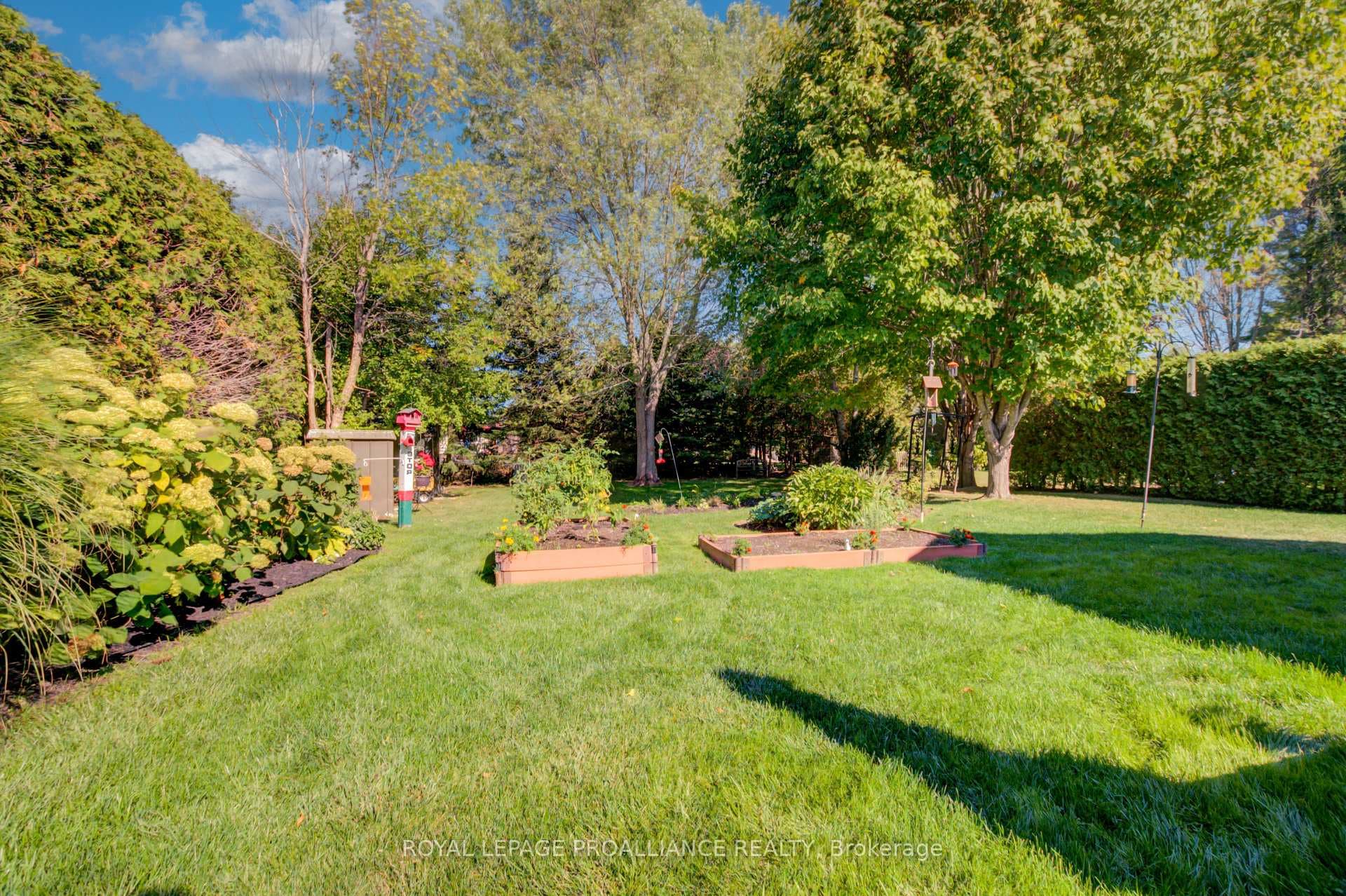 25 Mills Road photo 38