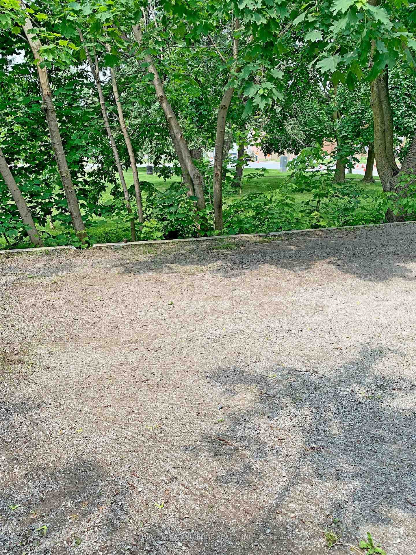 23 Queen Street photo 5