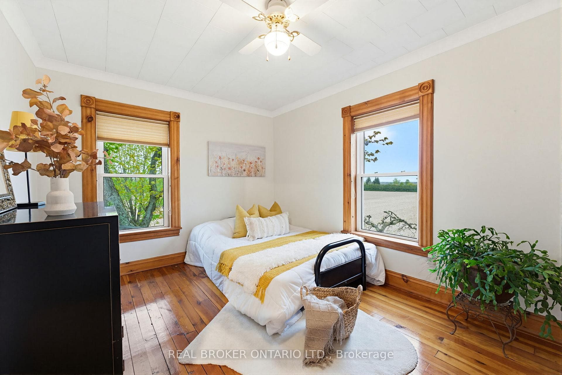 31 Maple Avenue photo 24