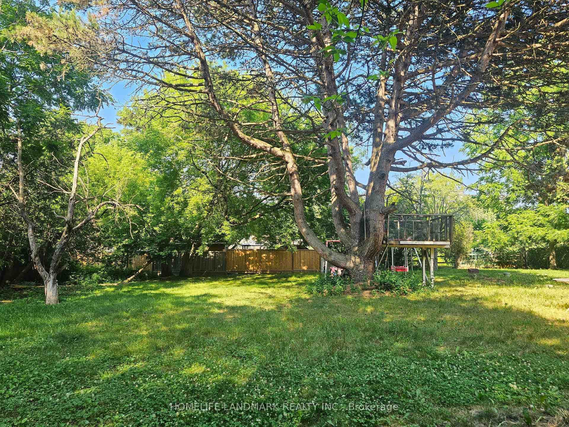 43 Beachell Street photo 18