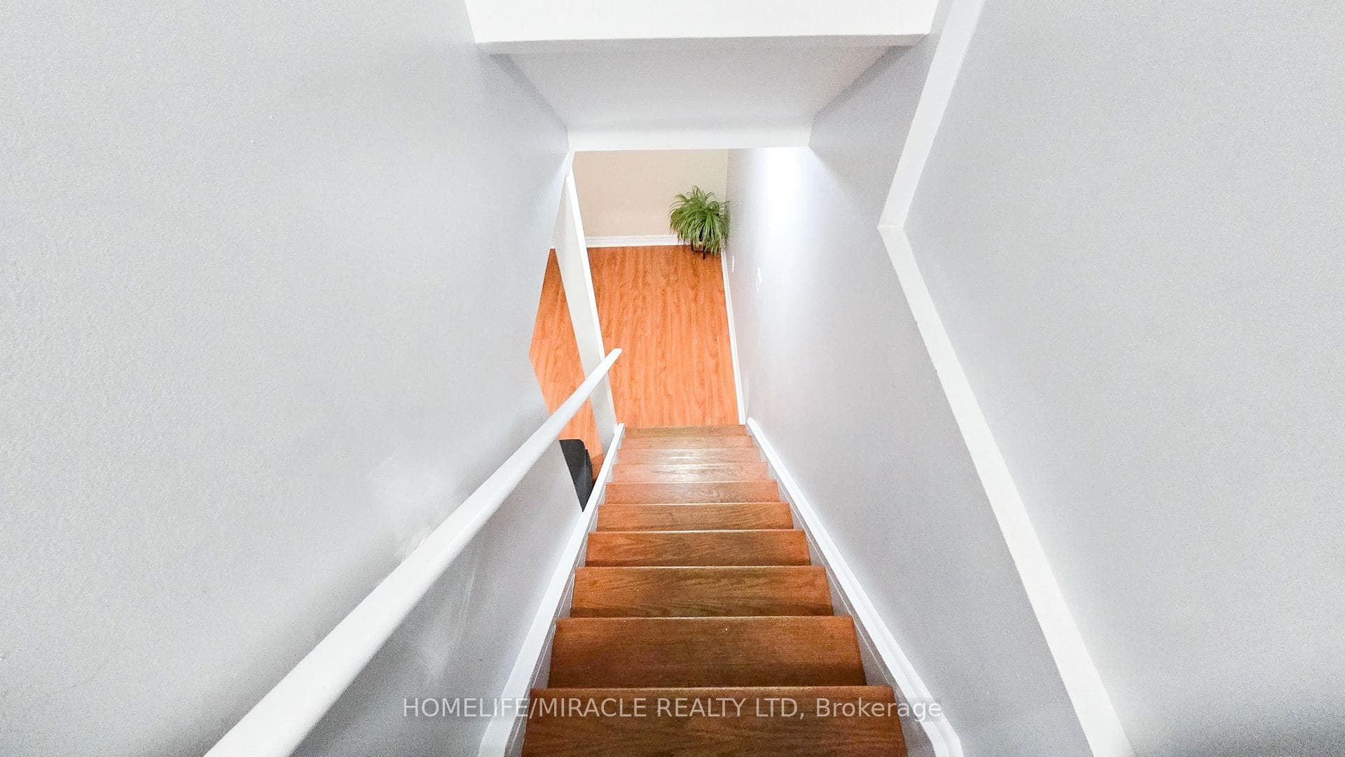 19 Fidelity Avenue photo 25