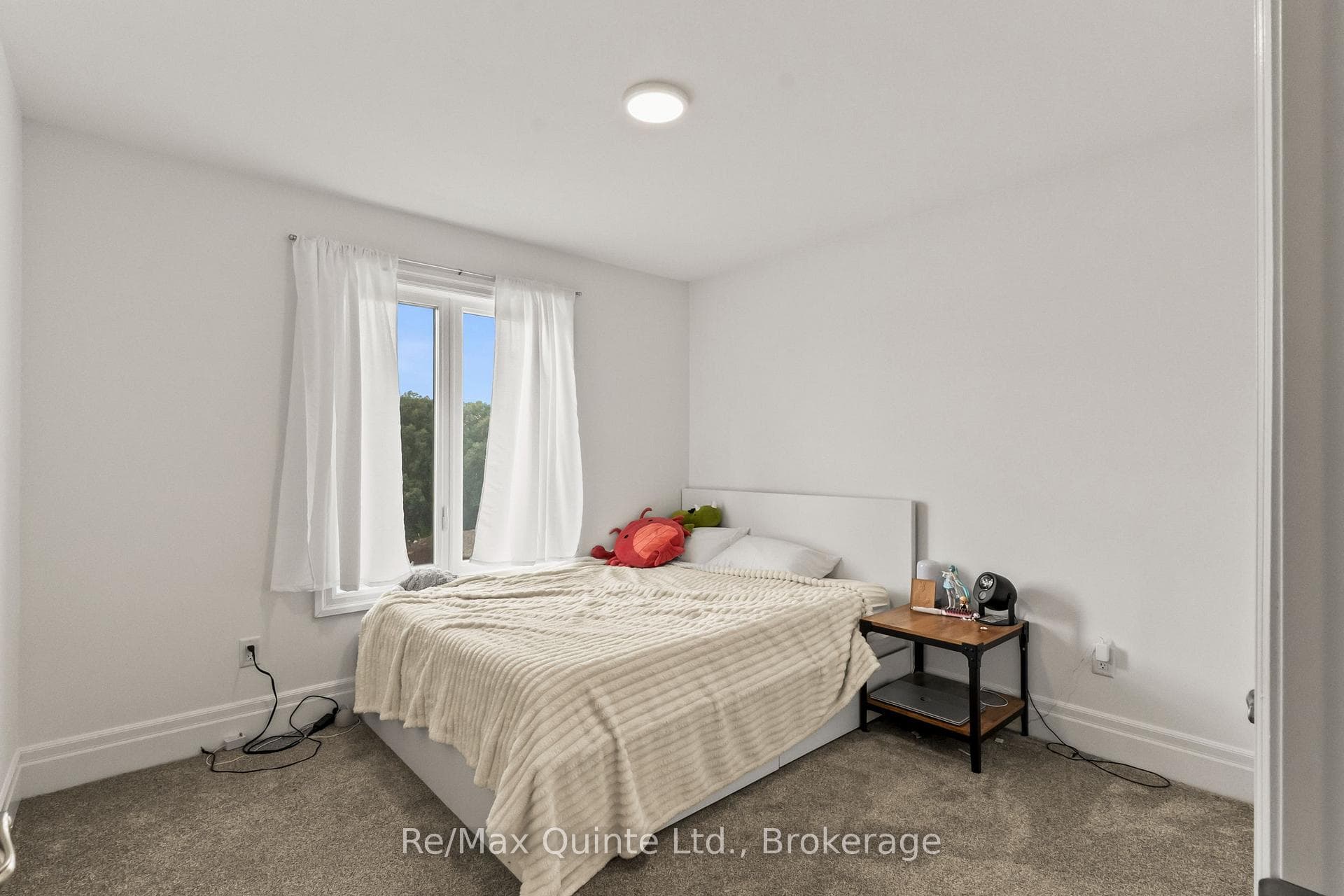 107 Buchanan Avenue photo 28
