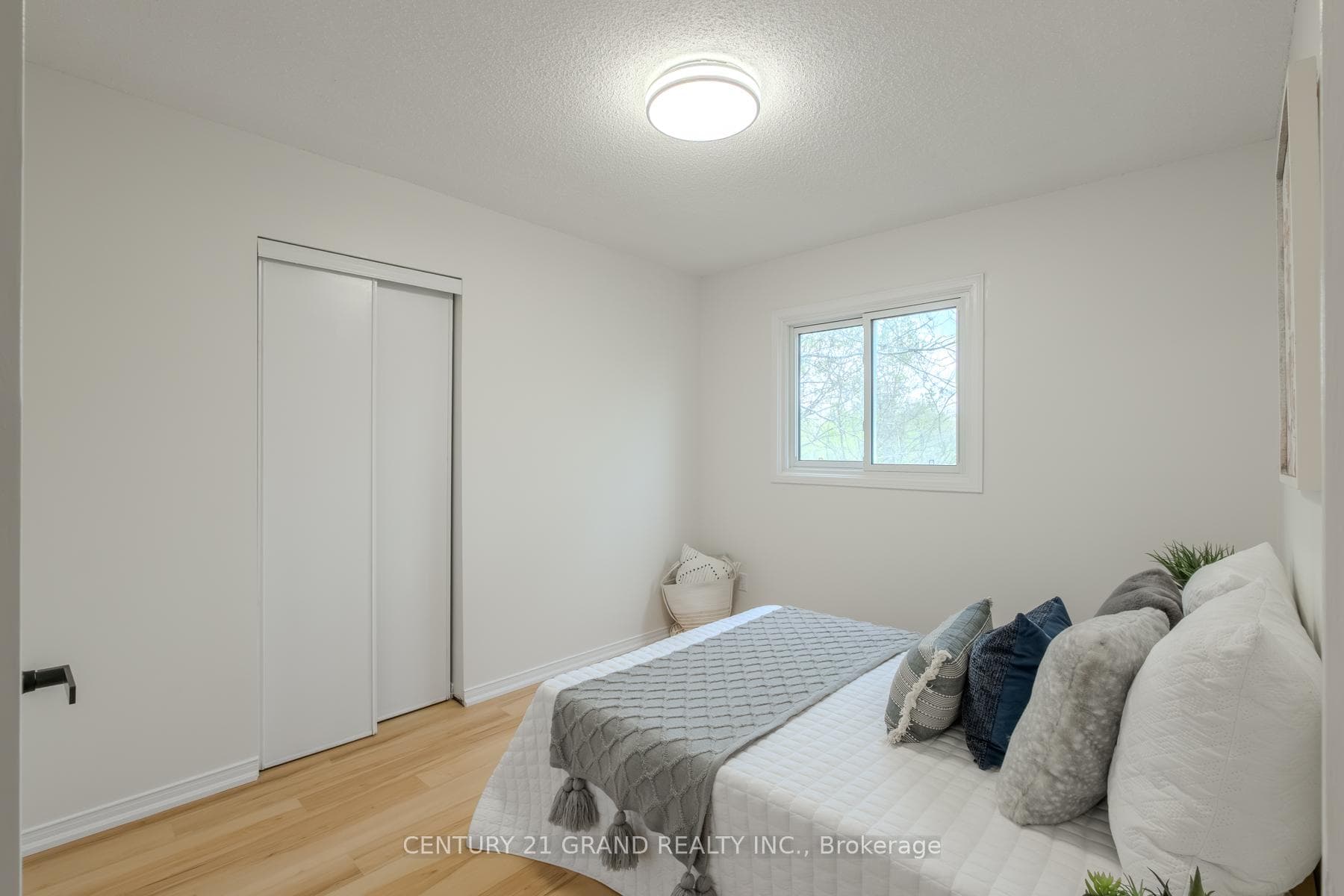 113 D'aubigny Road photo 29