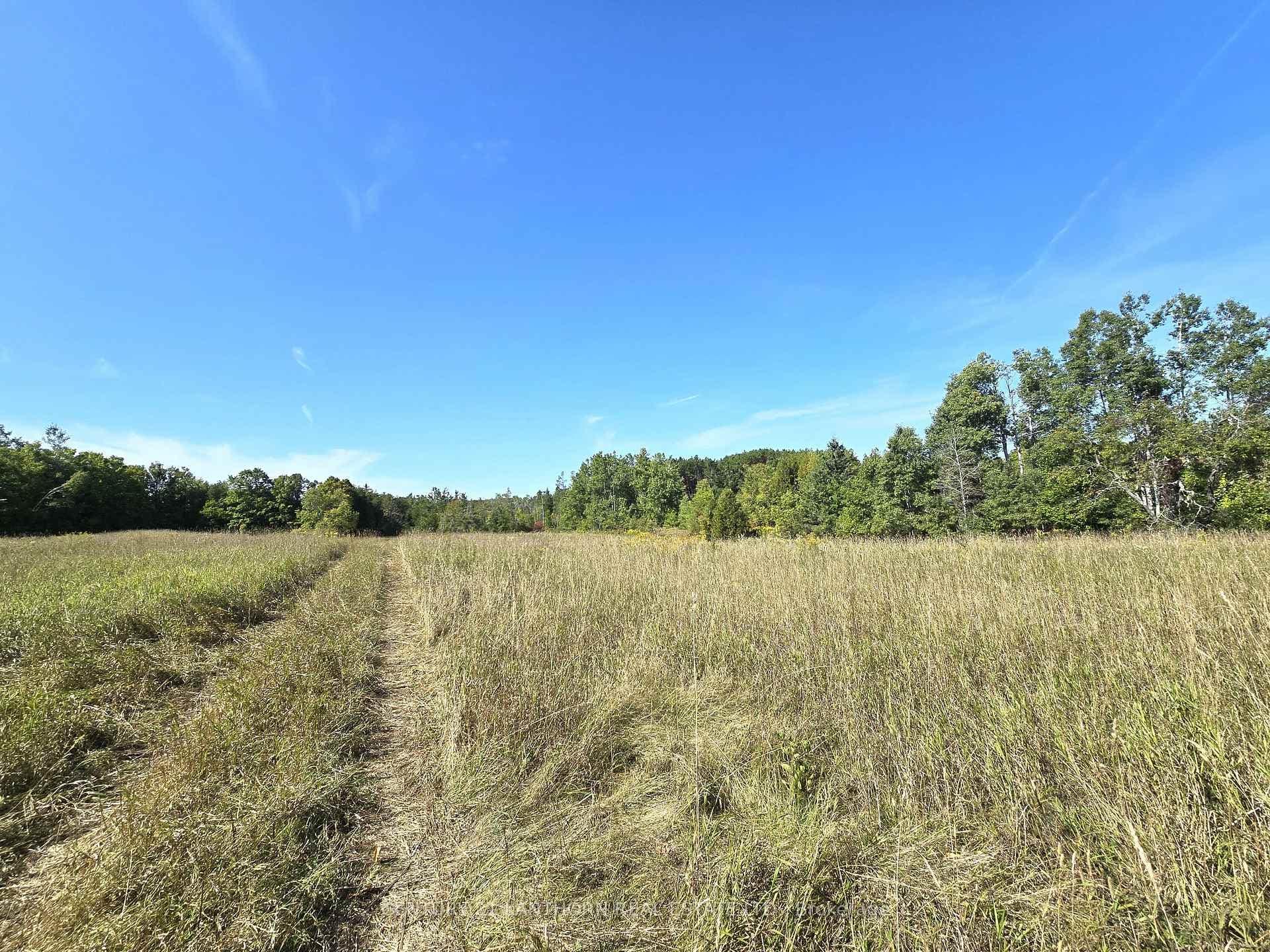 00 Morrison Road photo 34