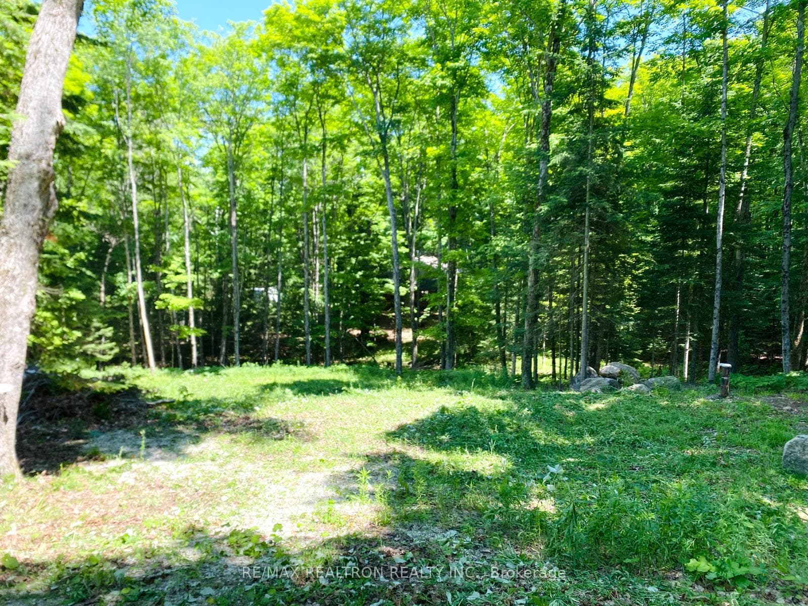 Cleared Bldg Site. Prtly sloped Ideal for W/O Bsmt