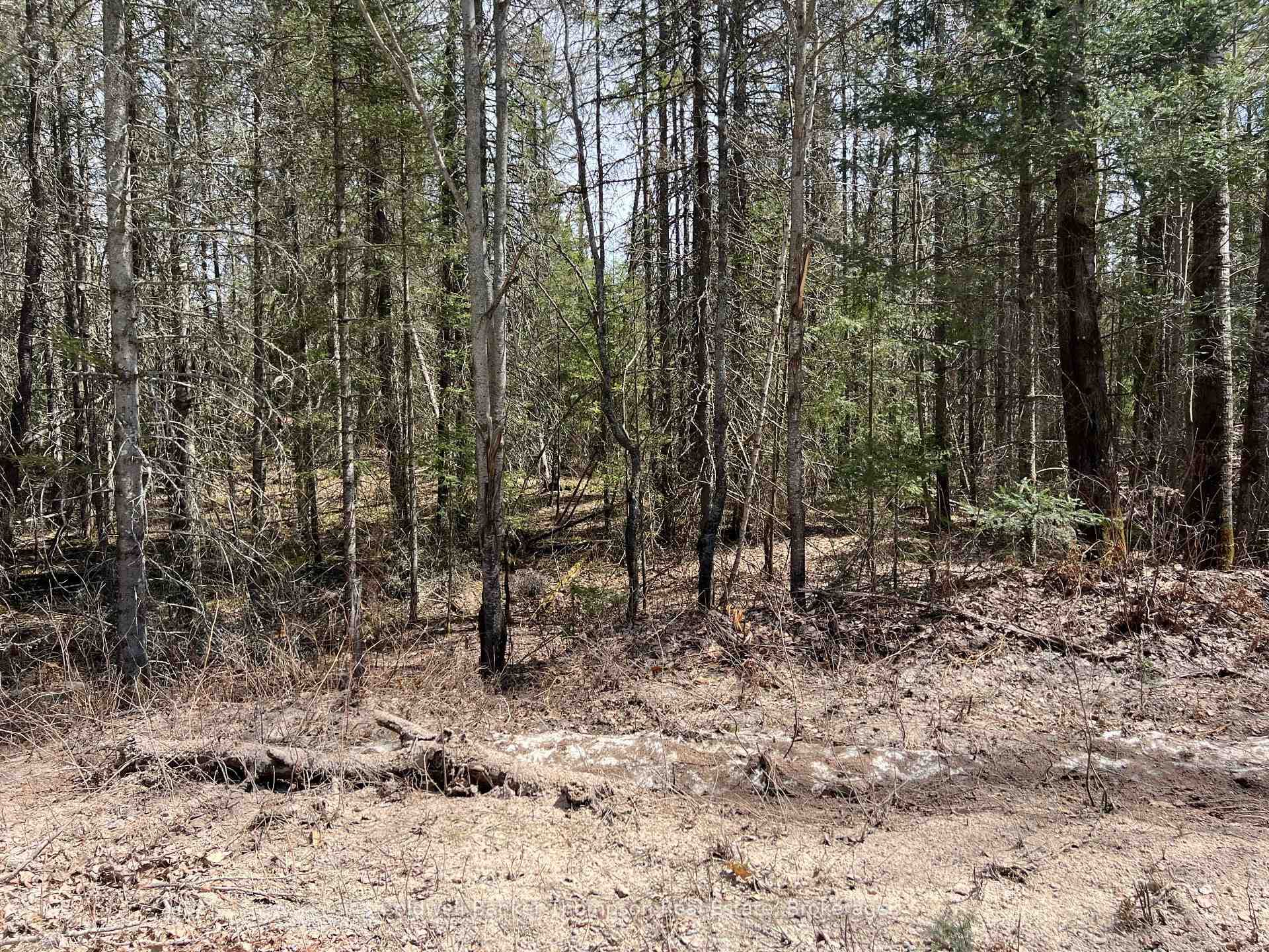 0 LOT 3 Sand Hill Road photo 3