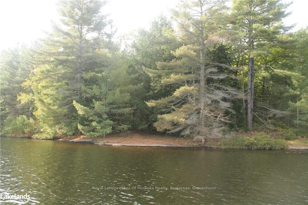 1039 SNIDERS BAY Road photo 17