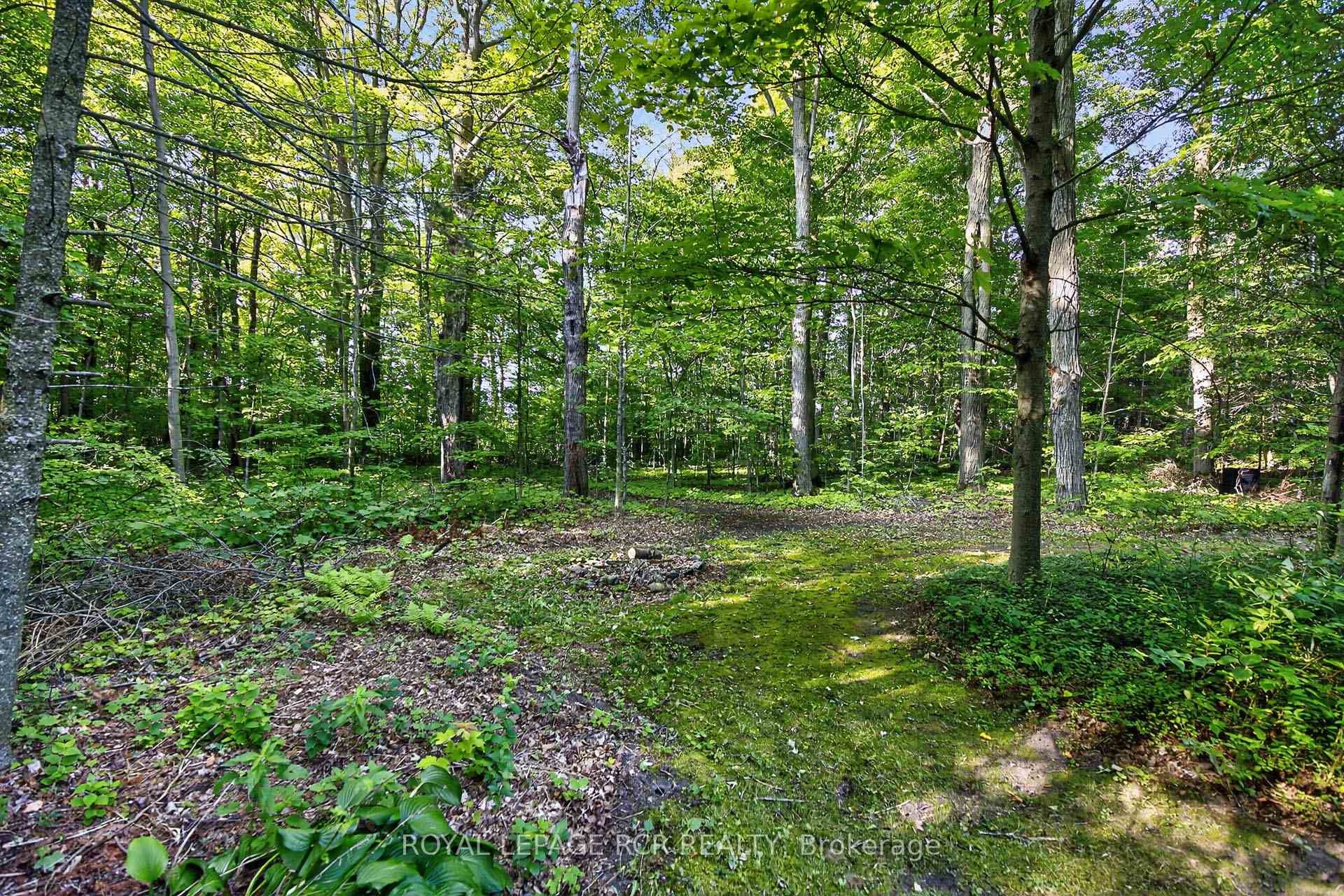 391 Goodwood Road photo 37