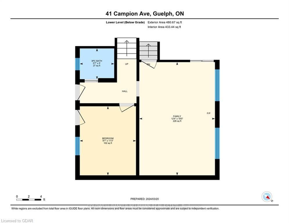41 Campion Avenue photo 23