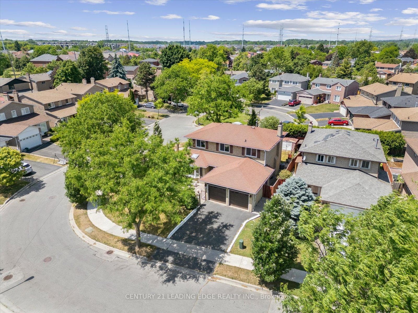 Mature Neighborhood