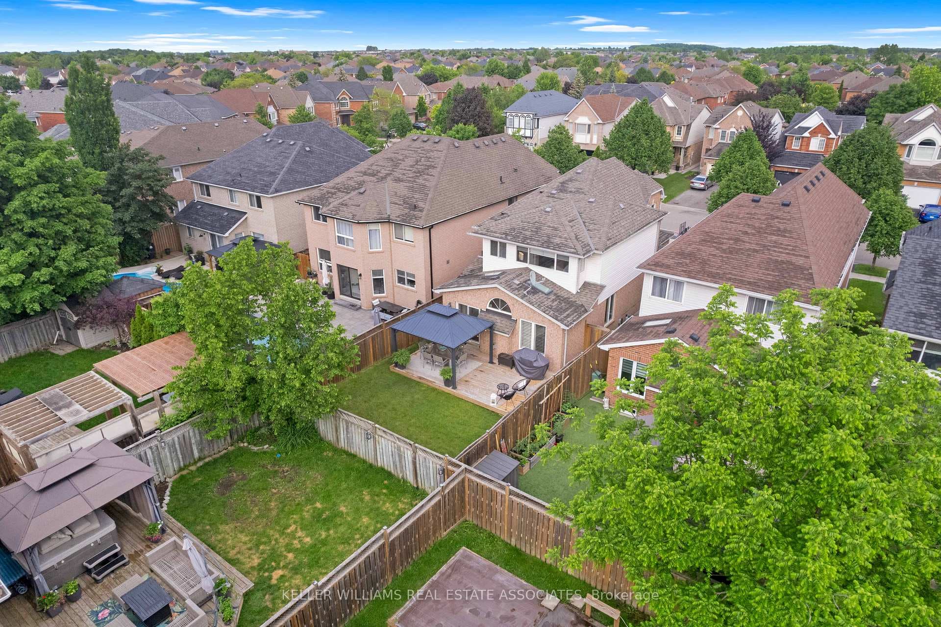 38 Harriet Street photo 25