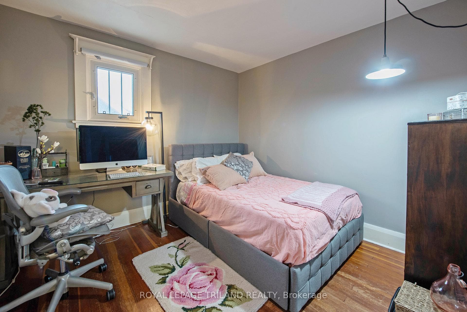 13 Mckenzie Avenue photo 29