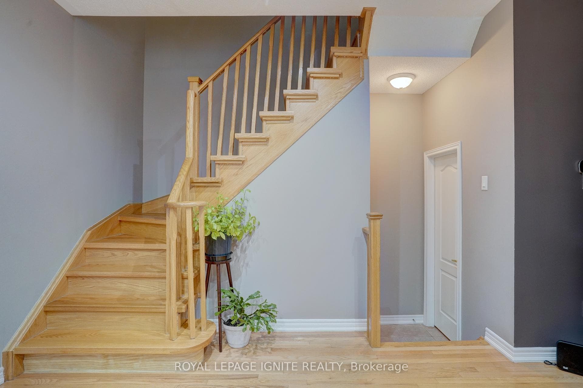 82 Seahorse Avenue photo 6