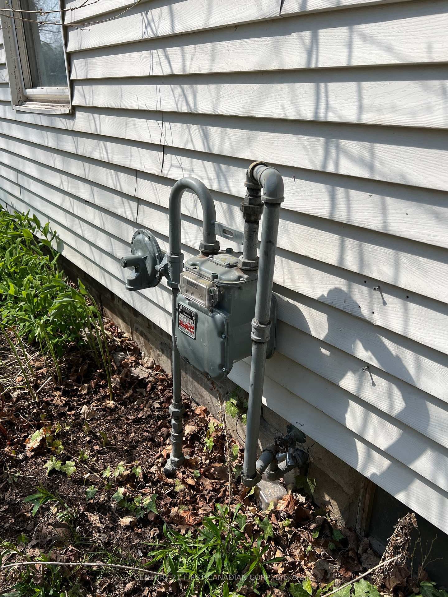 205 Orchard Street photo 11