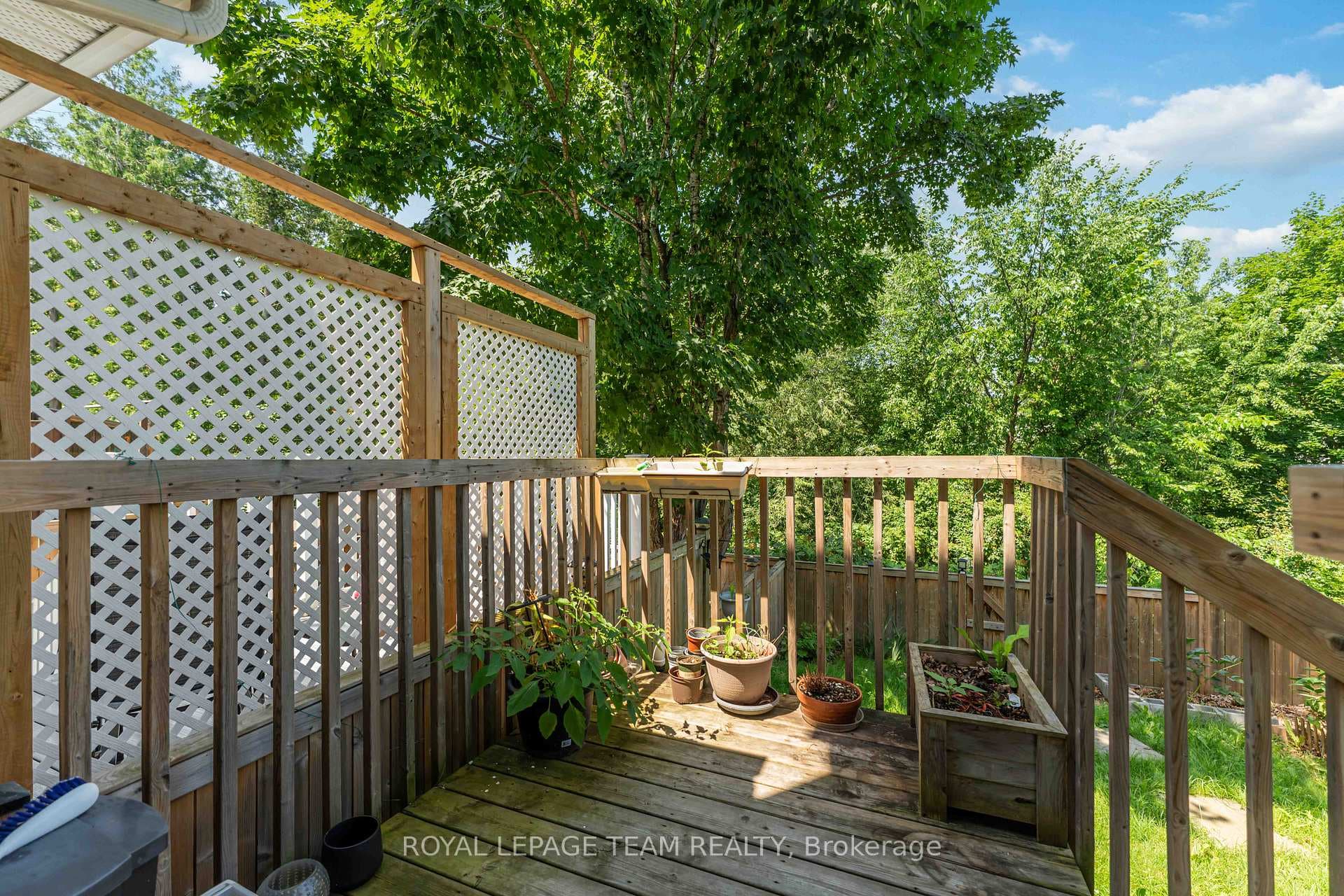 16 Cohen Avenue photo 25